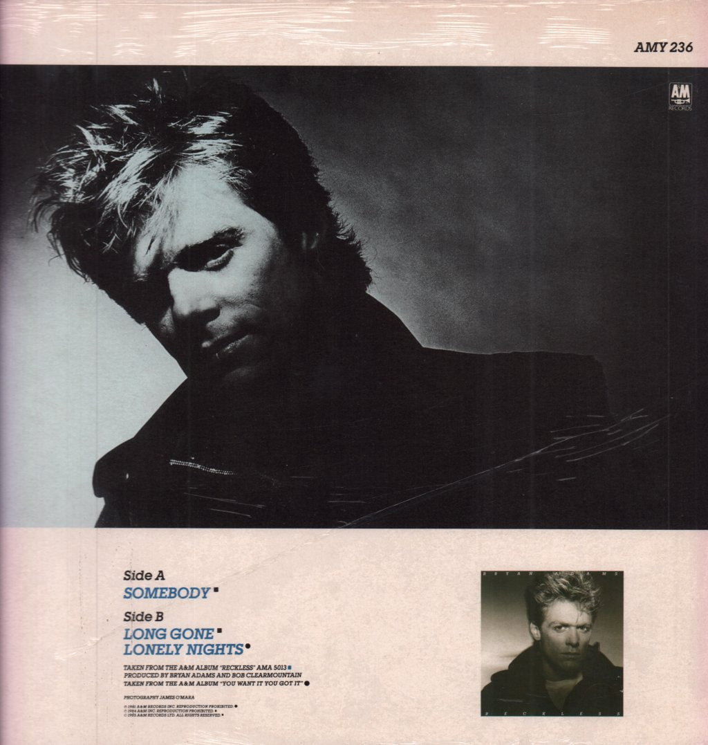 Bryan Adams - Somebody - 12 Inch