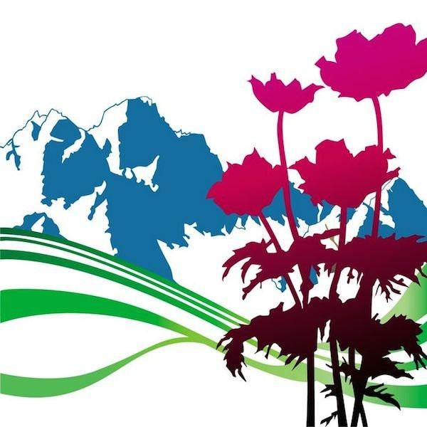 New Order - International - Cd/Dvd