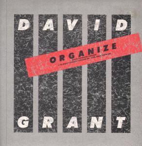 David Grant - Organize - 12 Inch
