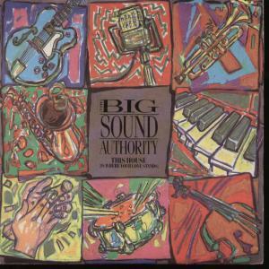 Big Sound Authority - This House - 7 Inch