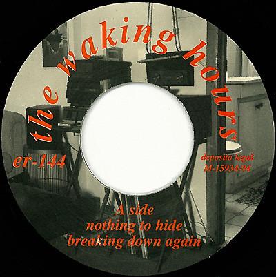 Waking Hours - Nothing To Hide - 7 Inch