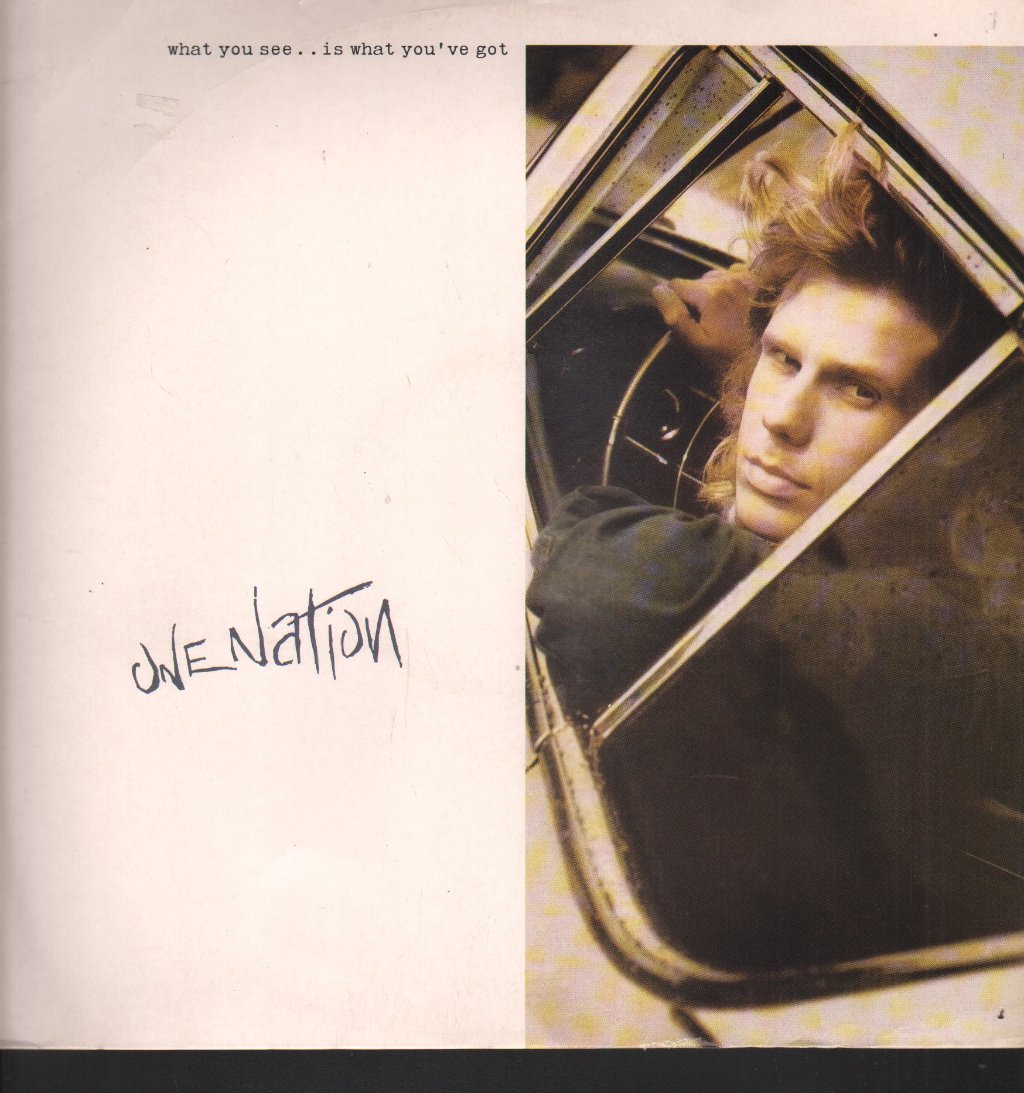 One Nation - What You See Is What You've Got - 12 Inch