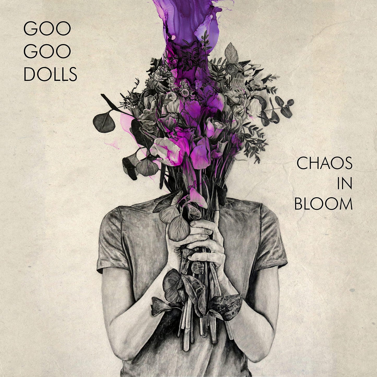 Goo Goo Dolls - Chaos In Bloom - Lp