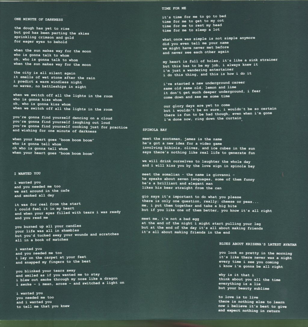 Stanley Brinks And The Wave Pictures - Gin - Lp