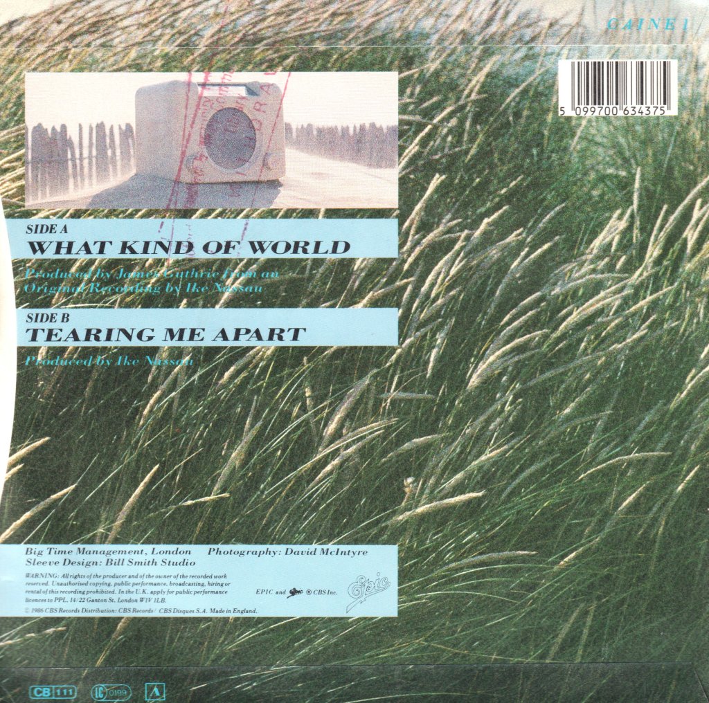 Andy Caine - What Kind Of World - 7 Inch