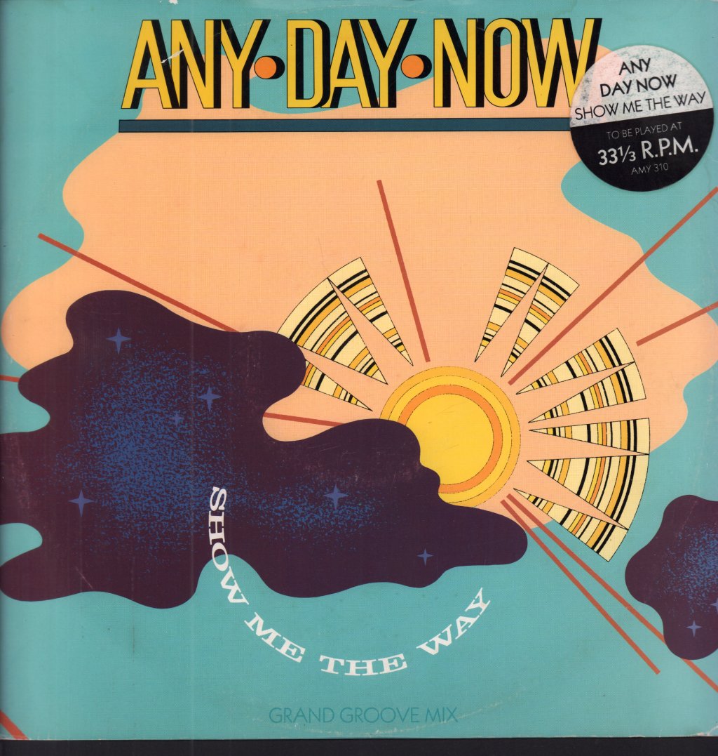Any Day Now - Show Me The Way - 12 Inch