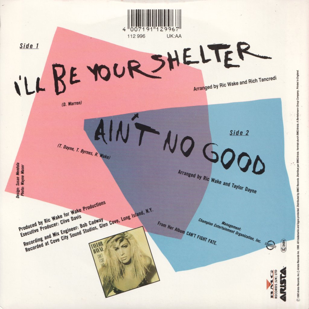 Taylor Dayne - I'll Be Your Shelter - 7 Inch