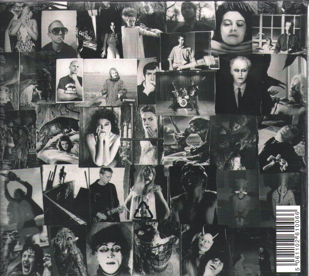 Wave Pictures - Gained/Lost - Cd