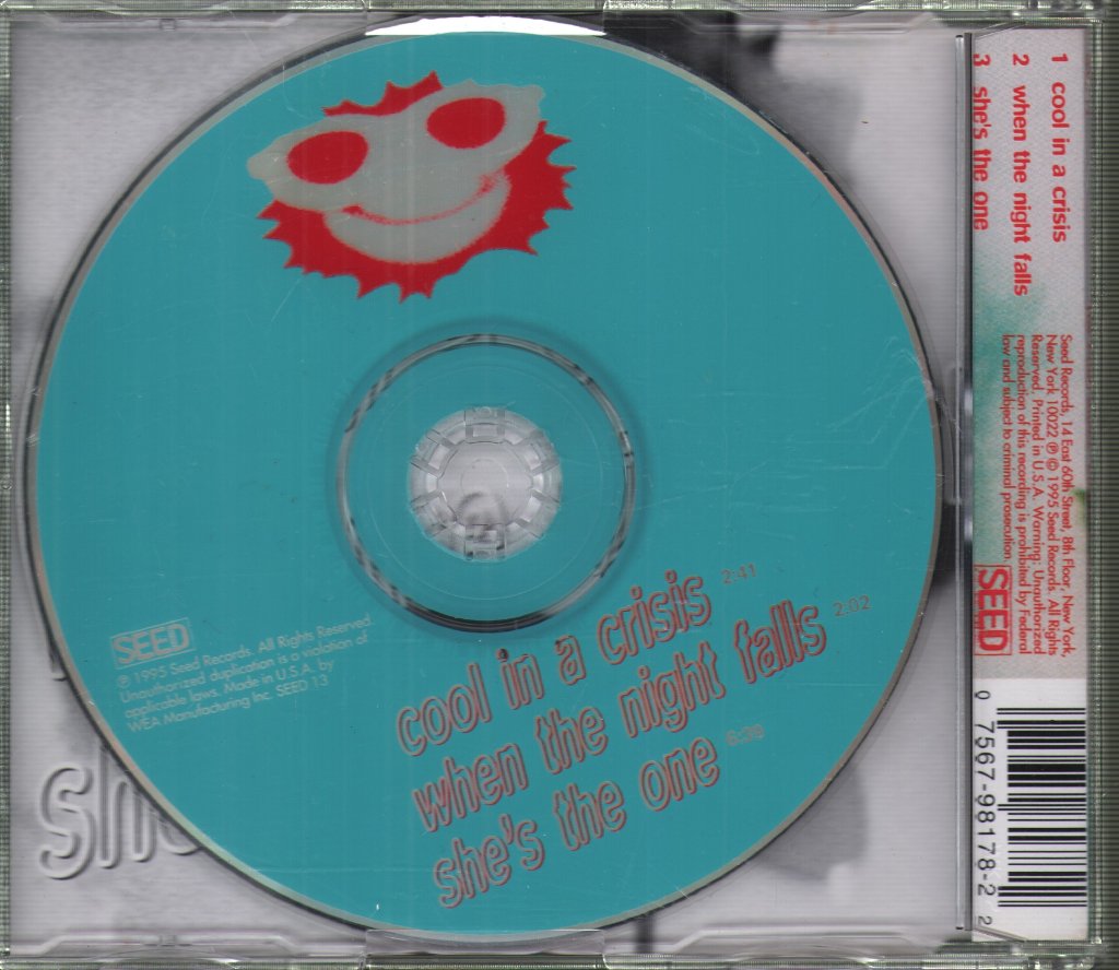 Pooh Sticks - Cool In A Crisis - Cd