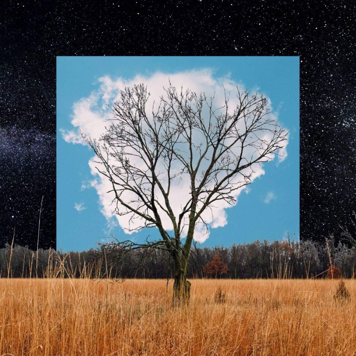 Fink - Bloom Innocent - Cd