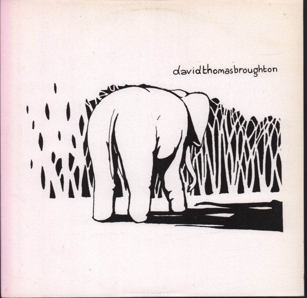 David Thomas Broughton - Anchovies - 10 Inch