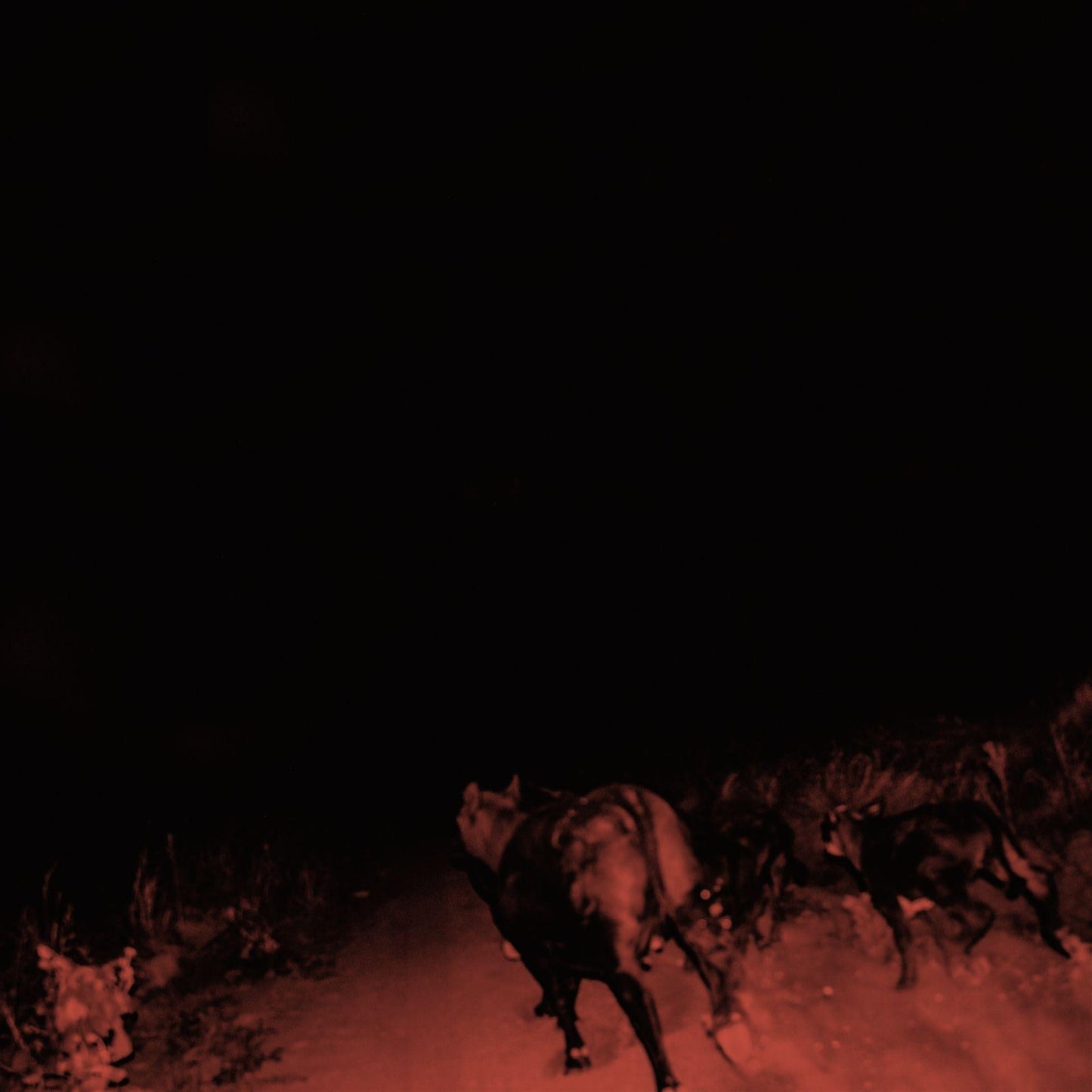 Bambara - Shadow On Everything - Cd
