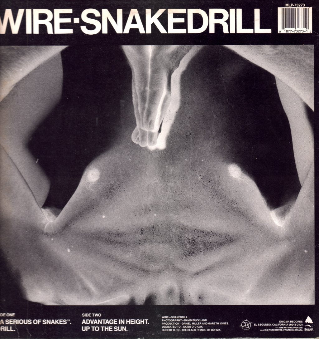 Wire - Snakedrill - 12 Inch