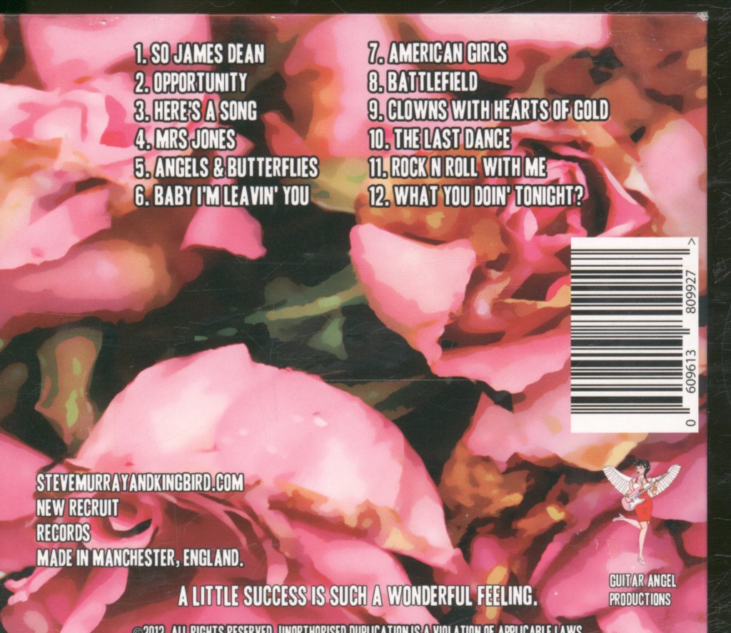 Steve Murray And Kingbird - Audio Book - Cd