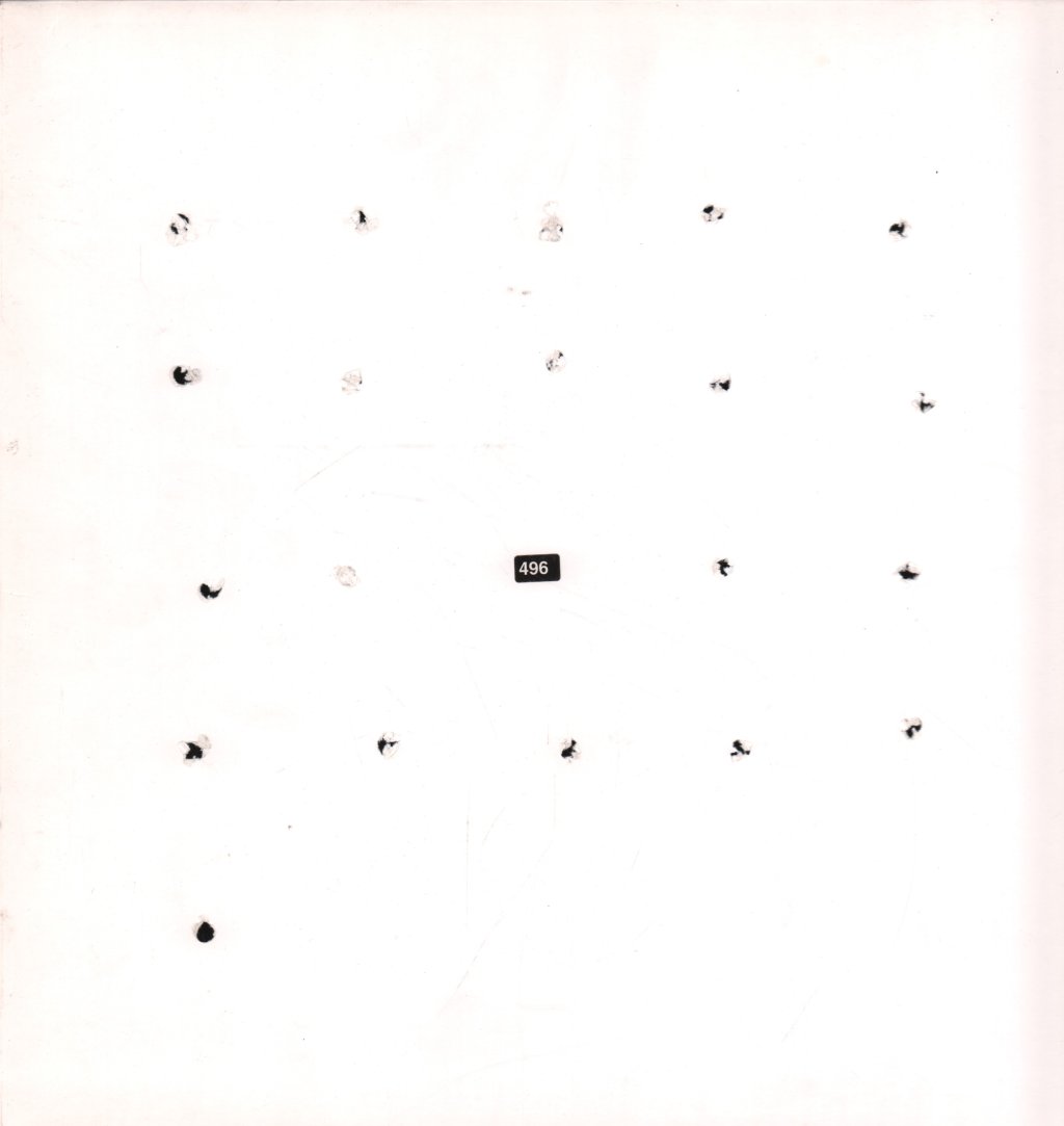 Alog - Split #20 - 12 Inch