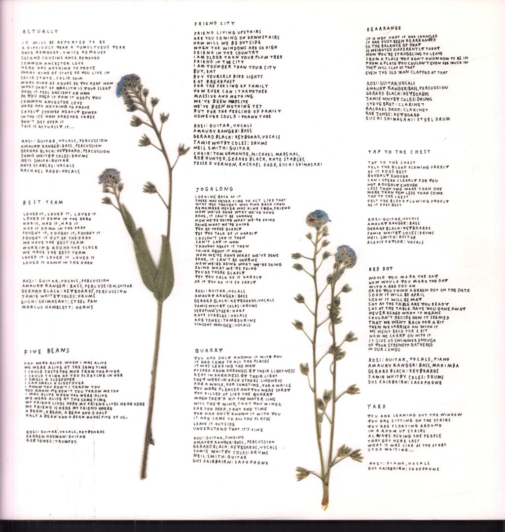 Rozi Plain - Friend - Lp