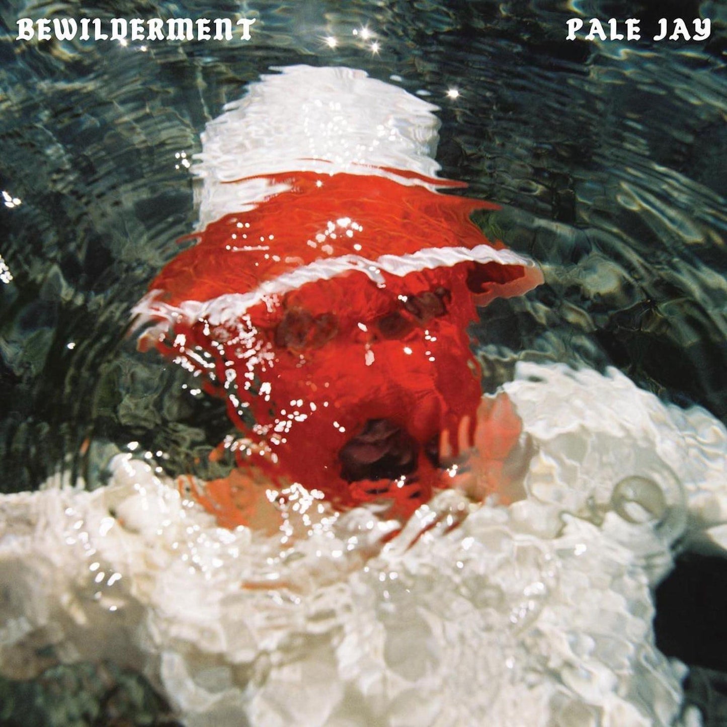 Pale Jay - Bewilderment - Cd