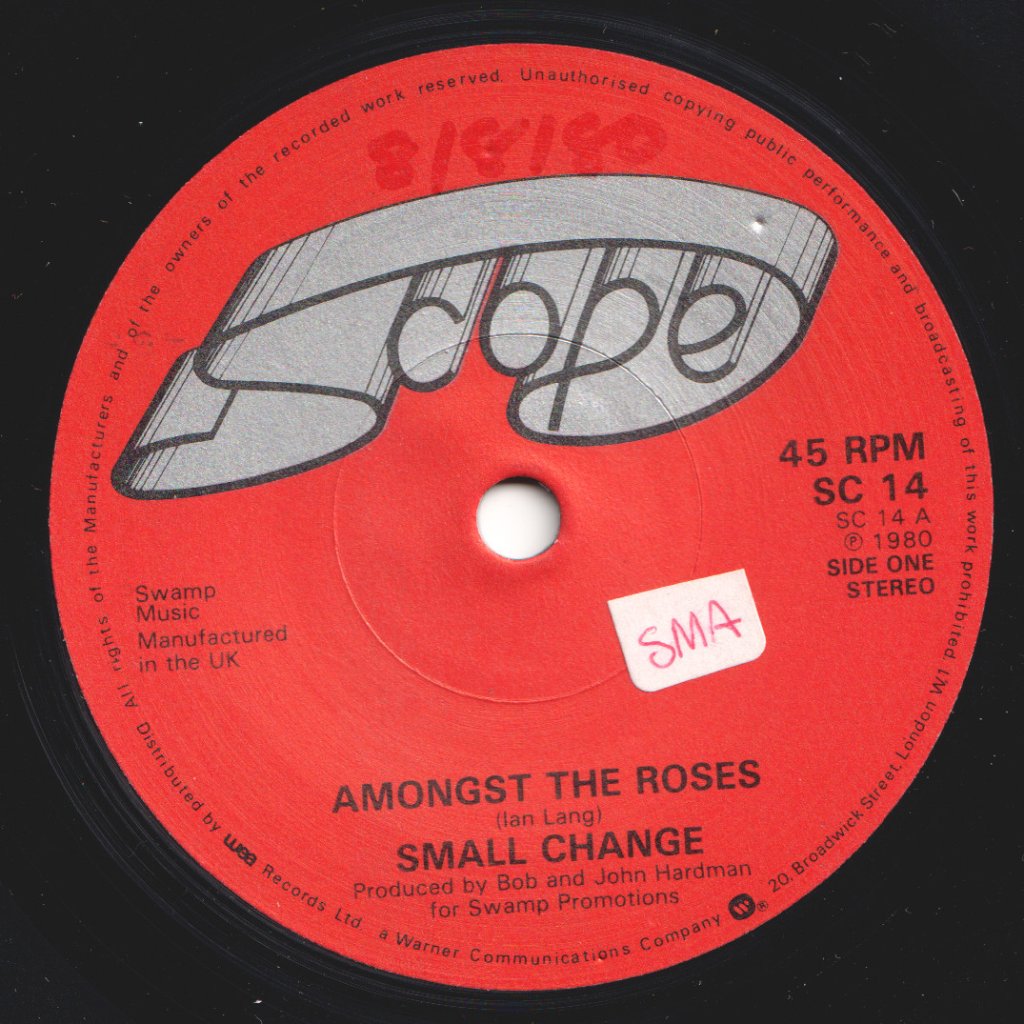 Small Change (New Wave Group) - Amongst The Roses - 7 Inch