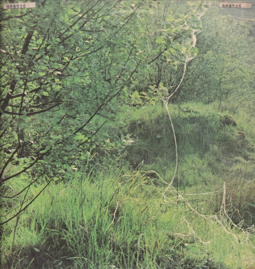 Jonathan Swift - Introvert - Lp