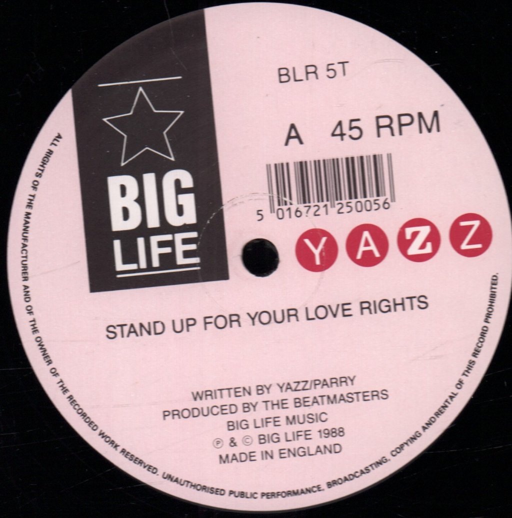 Yazz - Stand Up For Your Love Rights - 12 Inch