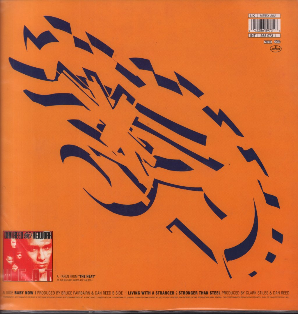 Dan Reed Network - Baby Now I - 10 Inch