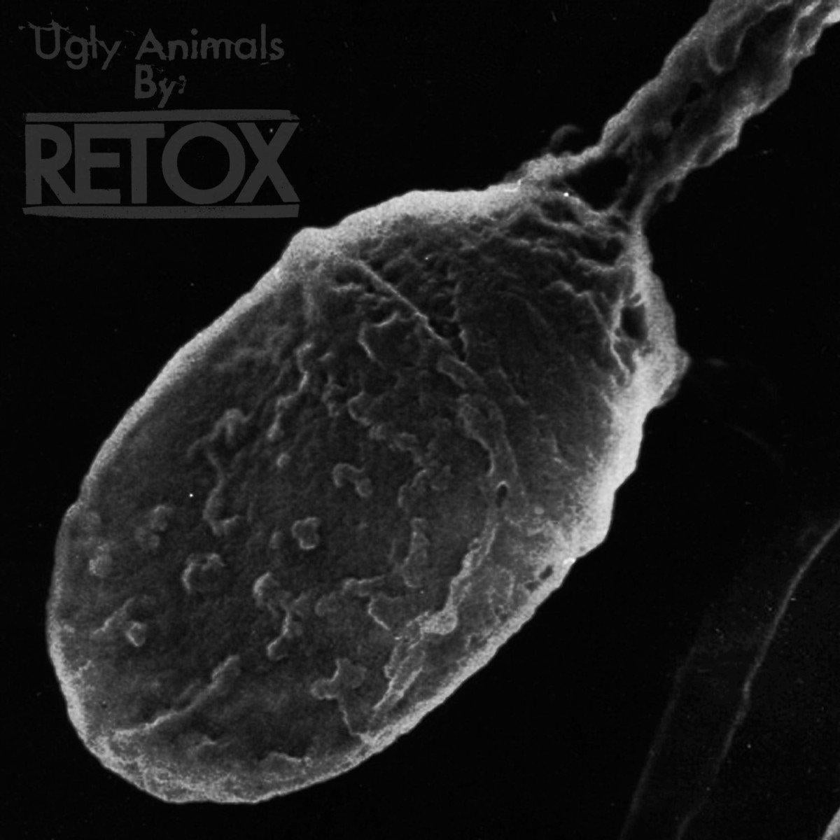 Retox - Ugly Animals - Cd