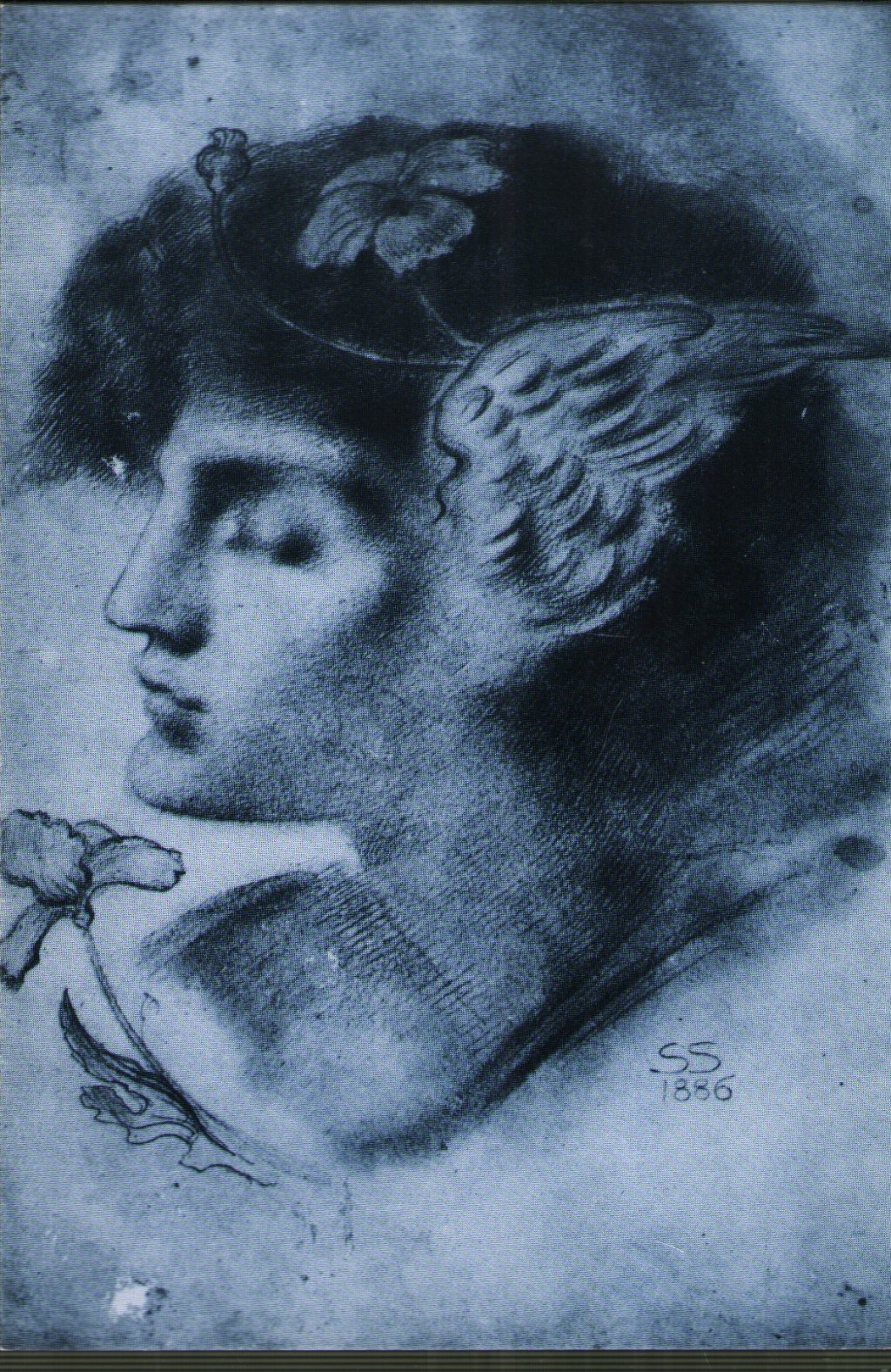 Shelleyan Orphan - Smiths Gallery - Card