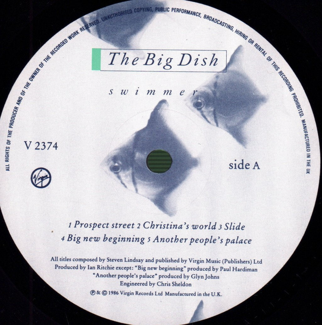 Big Dish - Swimmer - Lp
