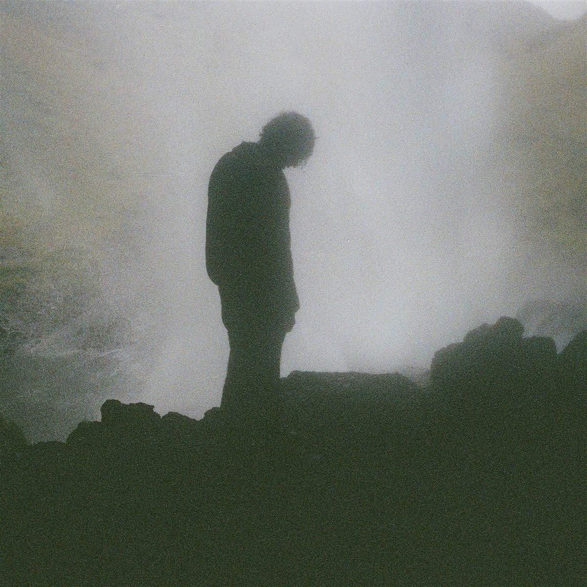 Palmistry - Afterlife - Lp