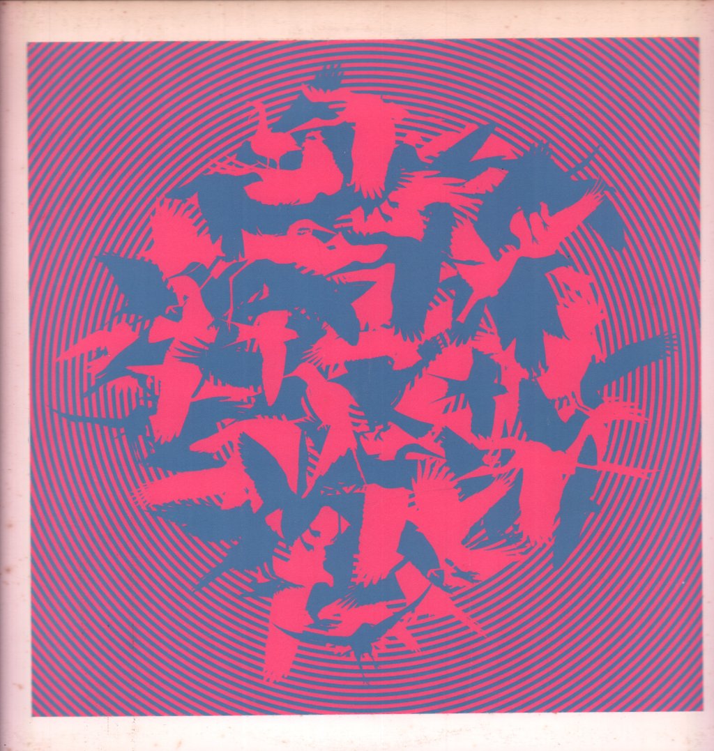 Vibracathedral Orchestra - Momentary Aviary - Lp