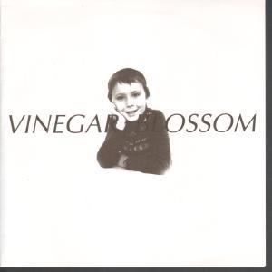 Vinegar Blossom - Absence Of A Choice - 7 Inch