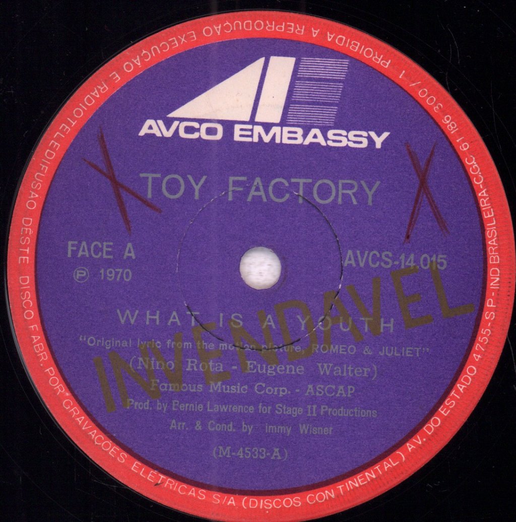 Toy Factory - What Is A Youth - 7 Inch