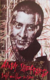 Andy Sheppard - Soft On The Inside - Cassette