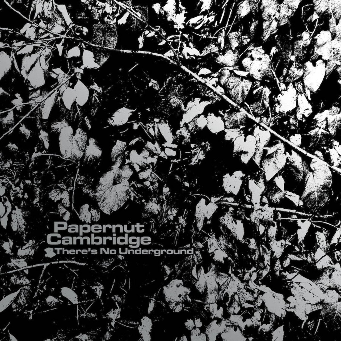 Papernut Cambridge - Theres No Underground - 7 Inch