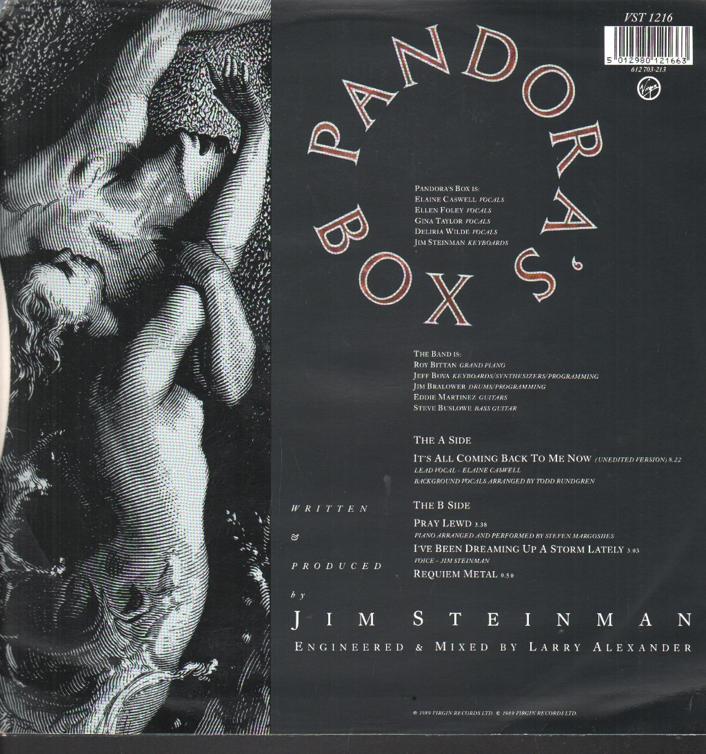 Pandora's Box (Us) - It's All Coming Back To Me Now - 12 Inch