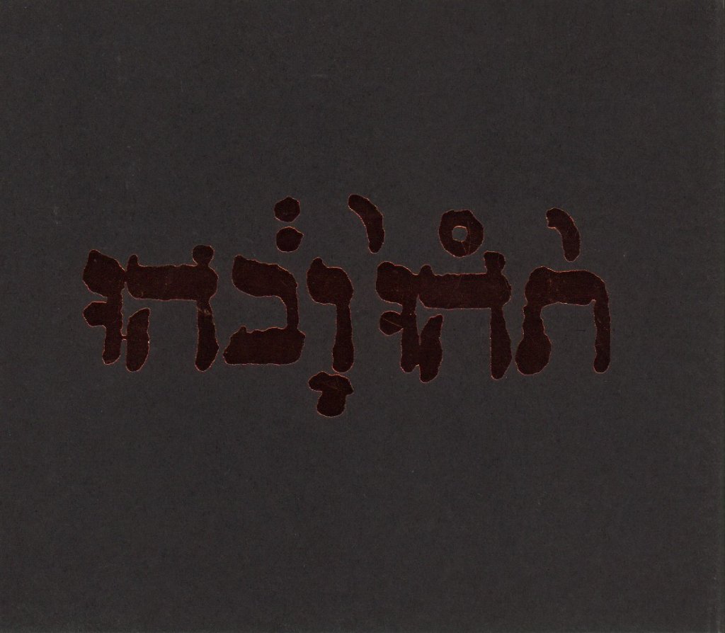 Godspeed You Black Emperor - Slow Riot For New Zero Kanada Ep - Cd