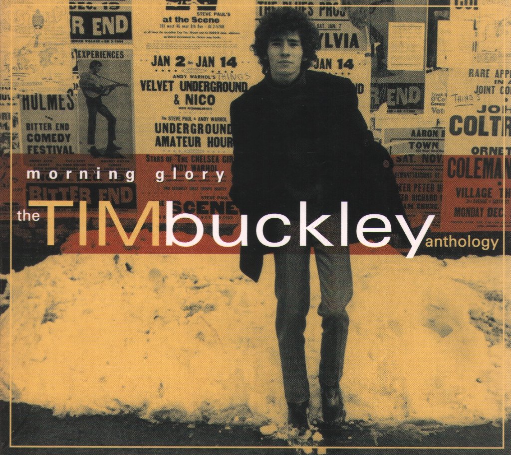 Tim Buckley - Morning Glory: The Tim Buckley Anthology - Cd Set
