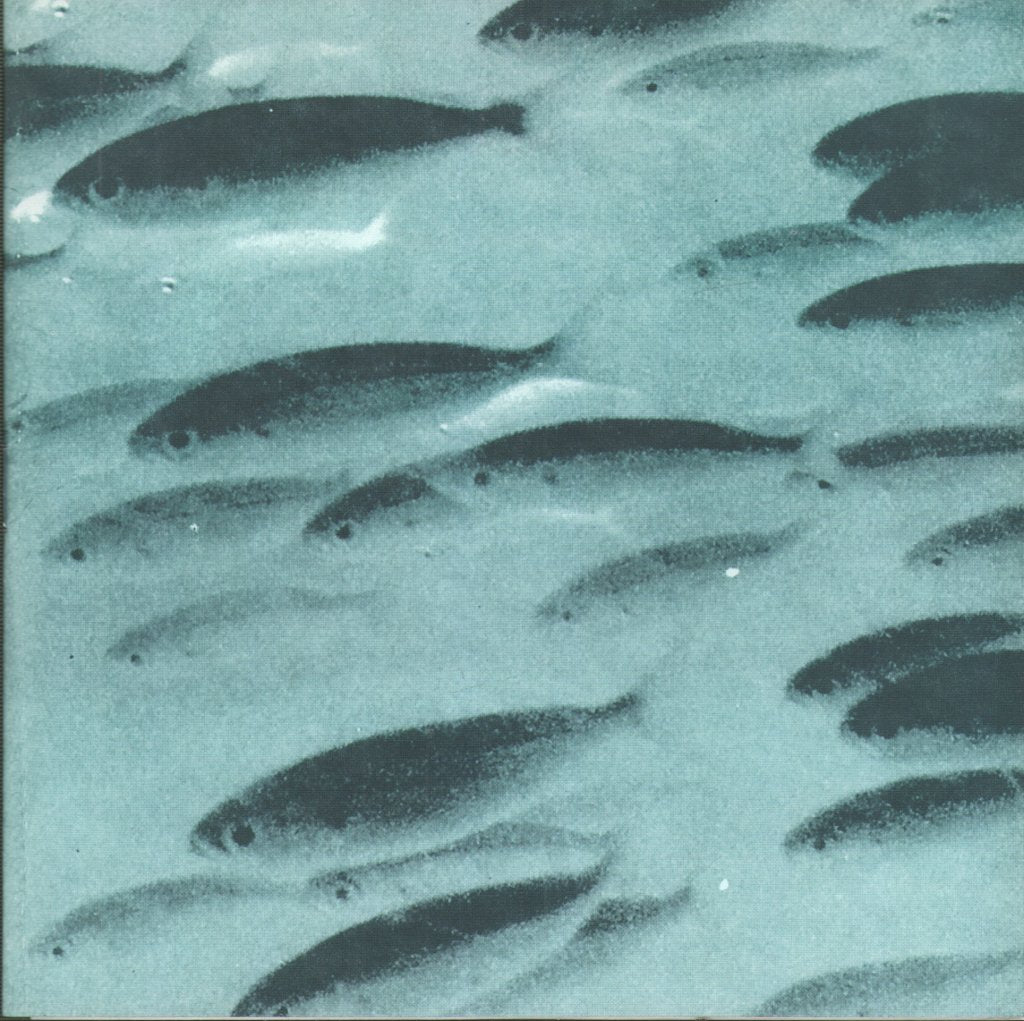 Flying Saucer Attack/Jessamine - At Night / From Here To And Now Otherwise - 7 Inch