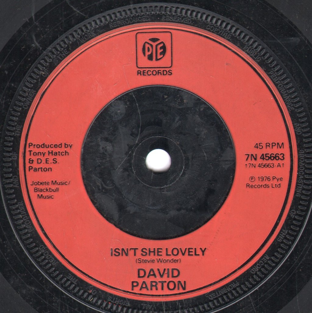 David Parton - Isn't She Lovely - 7 Inch
