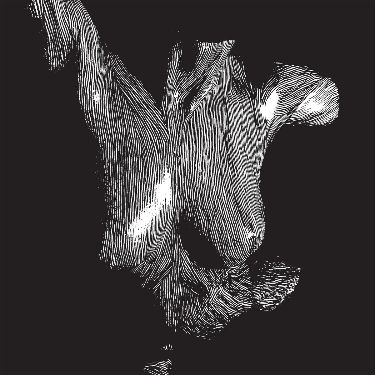Oceansize - Self Preserved While the Bodie - Cd
