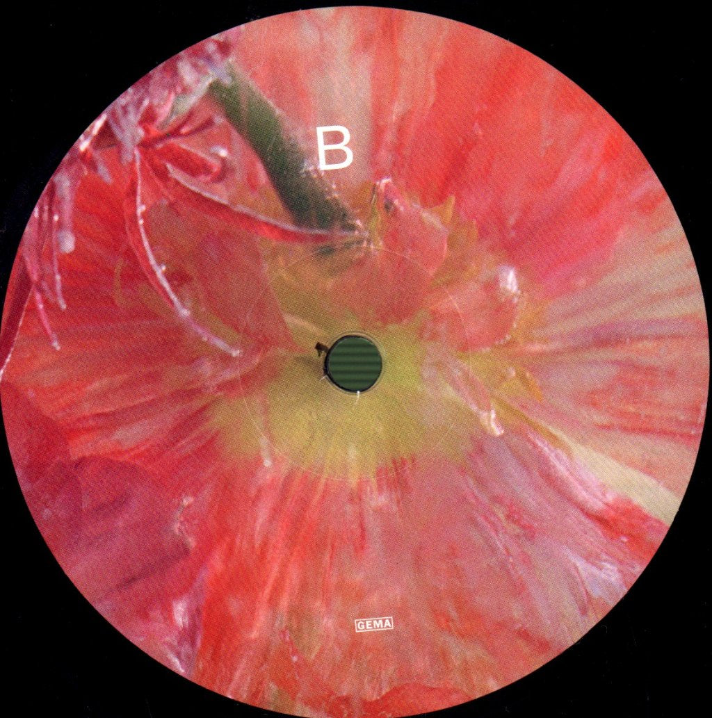 Efterklang - Windflowers - Lp