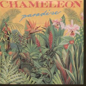 Chameleon (80'S Artist) - Paradise - 7 Inch