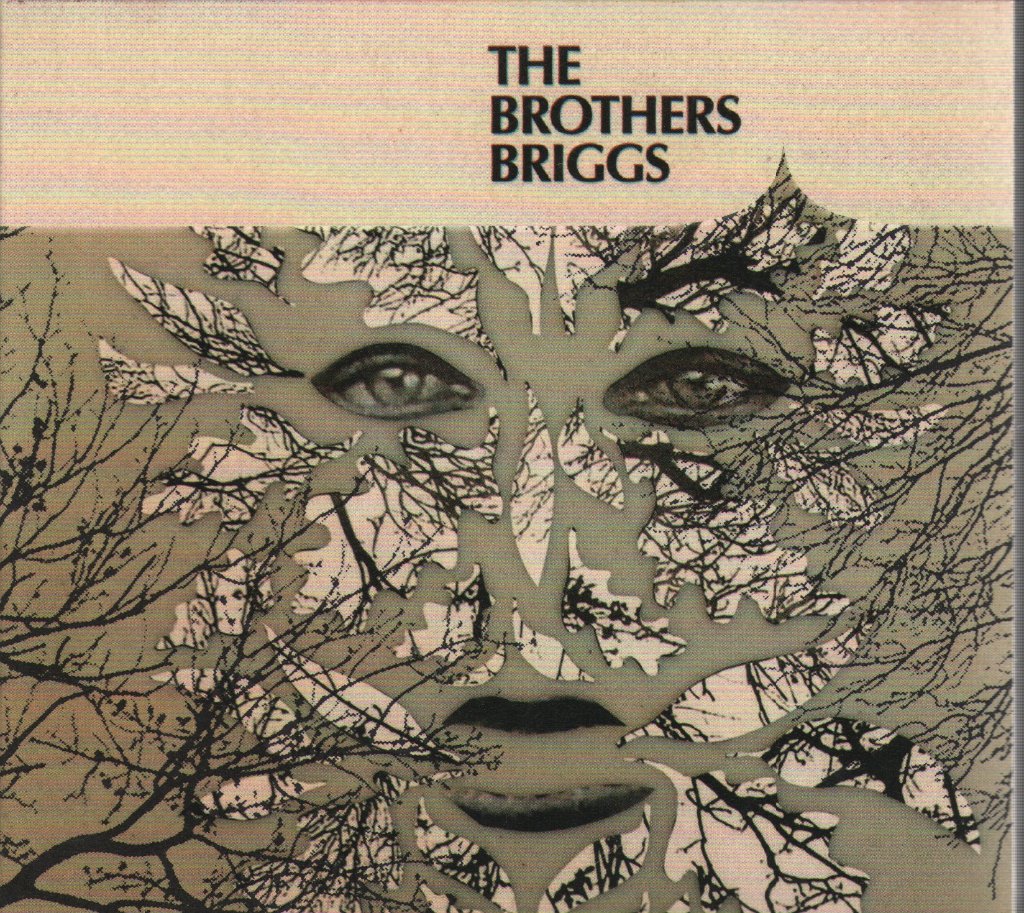 Brothers Briggs - Brothers Briggs - Cd