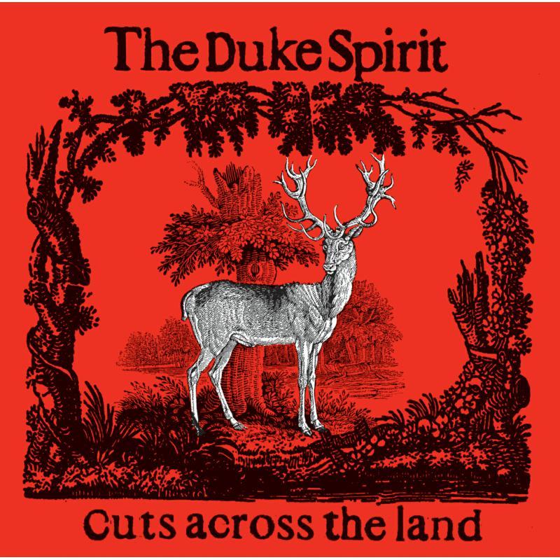 Duke Spirit - Cuts Across the Land - Double Lp