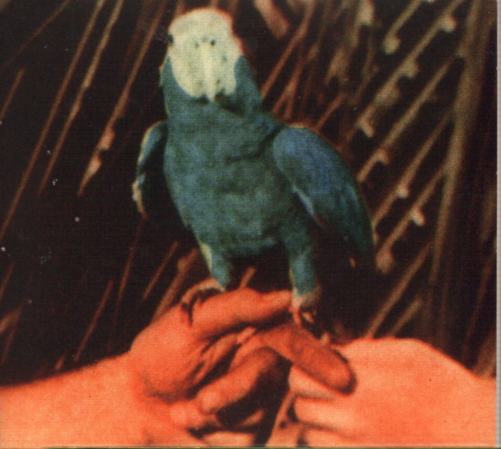 Andrew Bird - Are You Serious - Cd