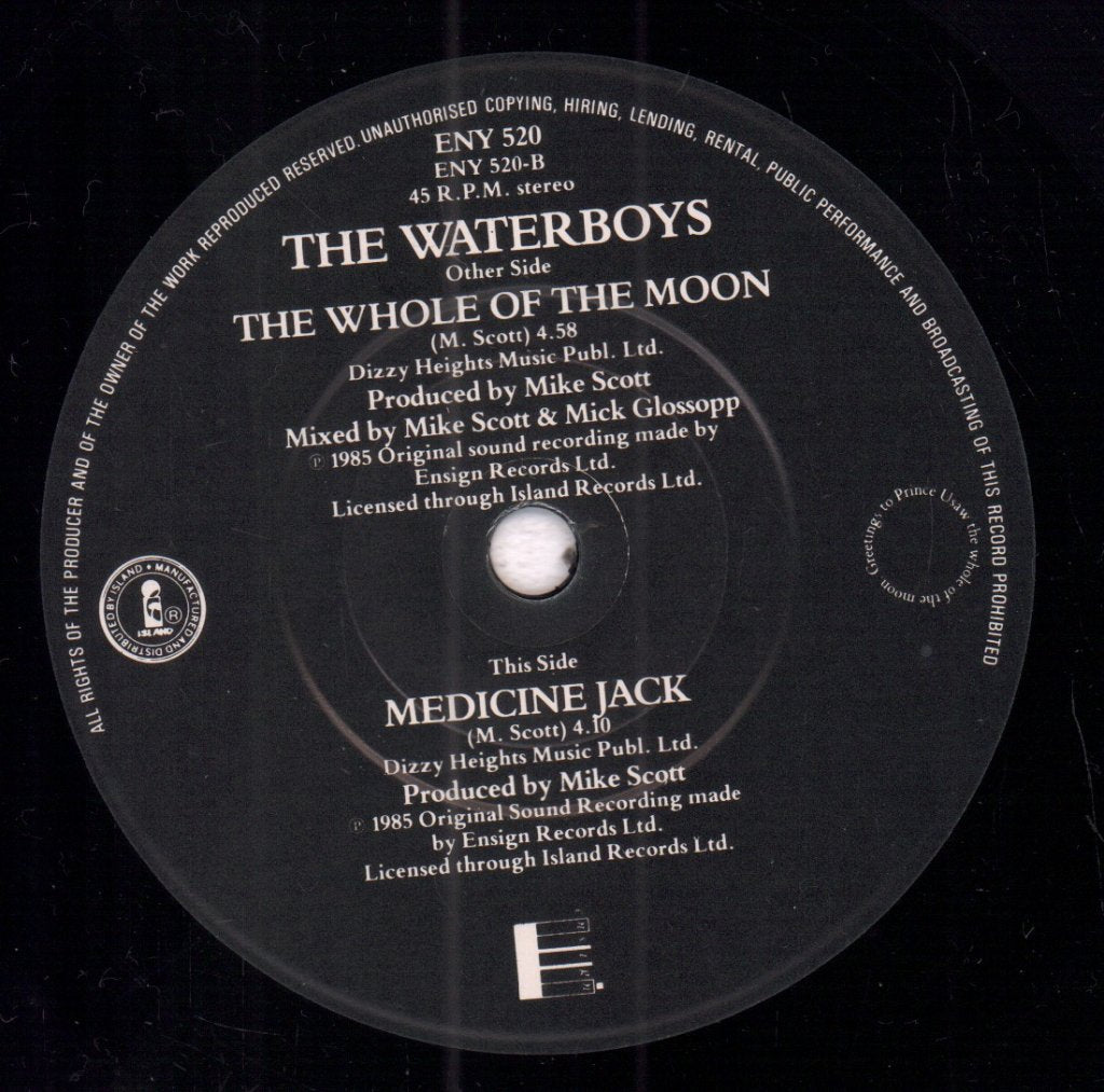 Waterboys - Whole Of The Moon - 7 Inch