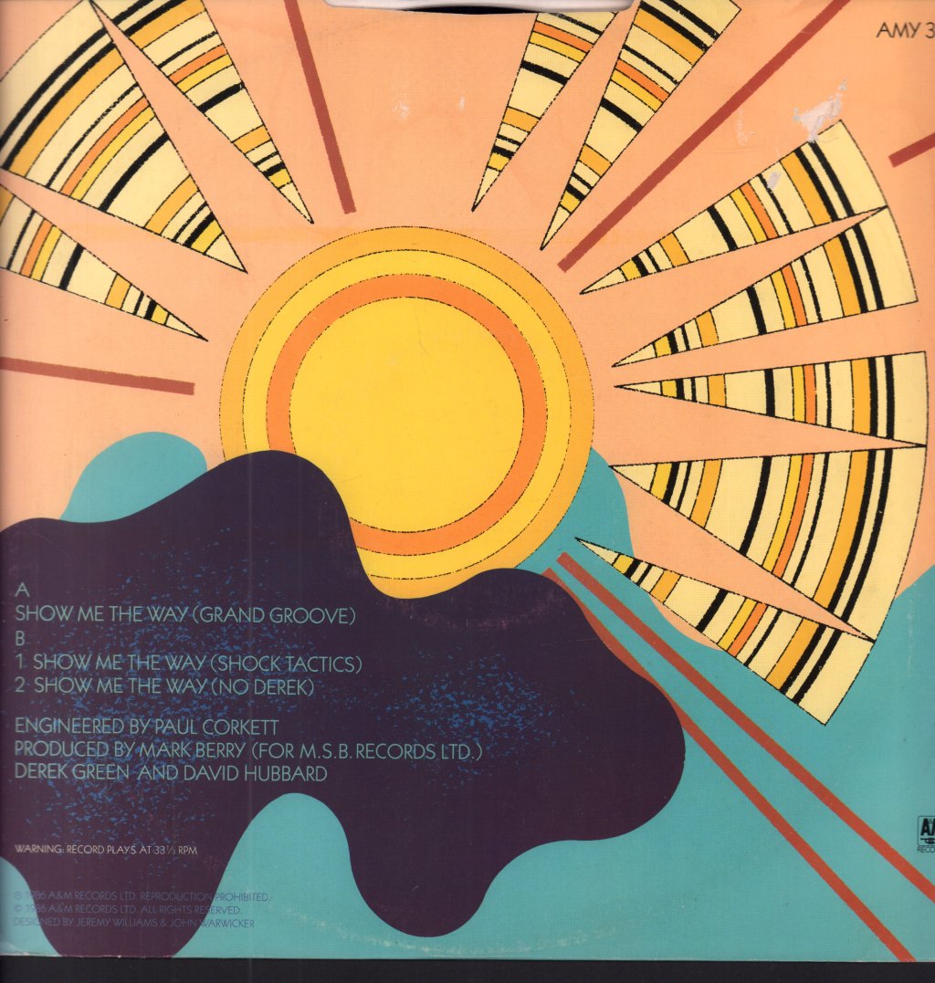 Any Day Now - Show Me The Way - 12 Inch