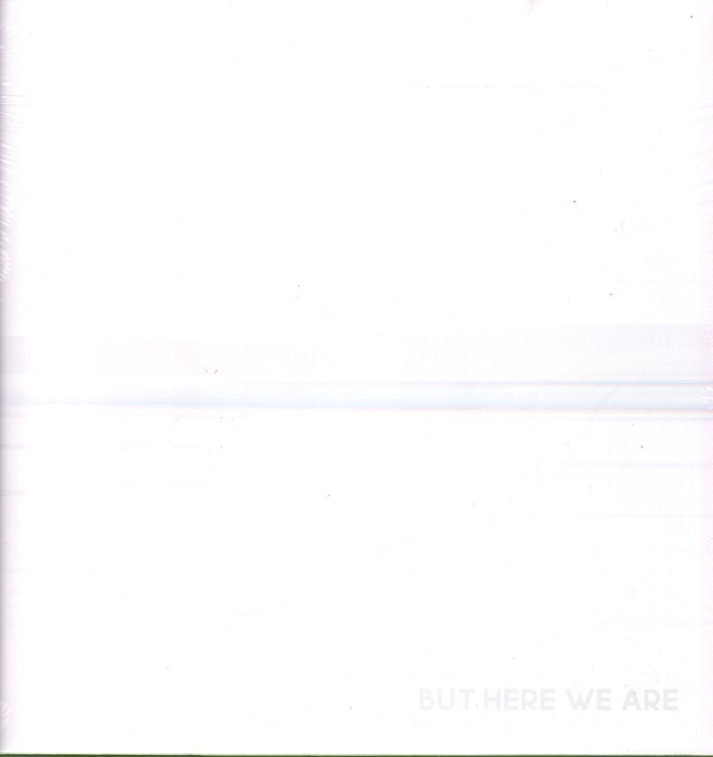 Foo Fighters - But Here We Are - Lp
