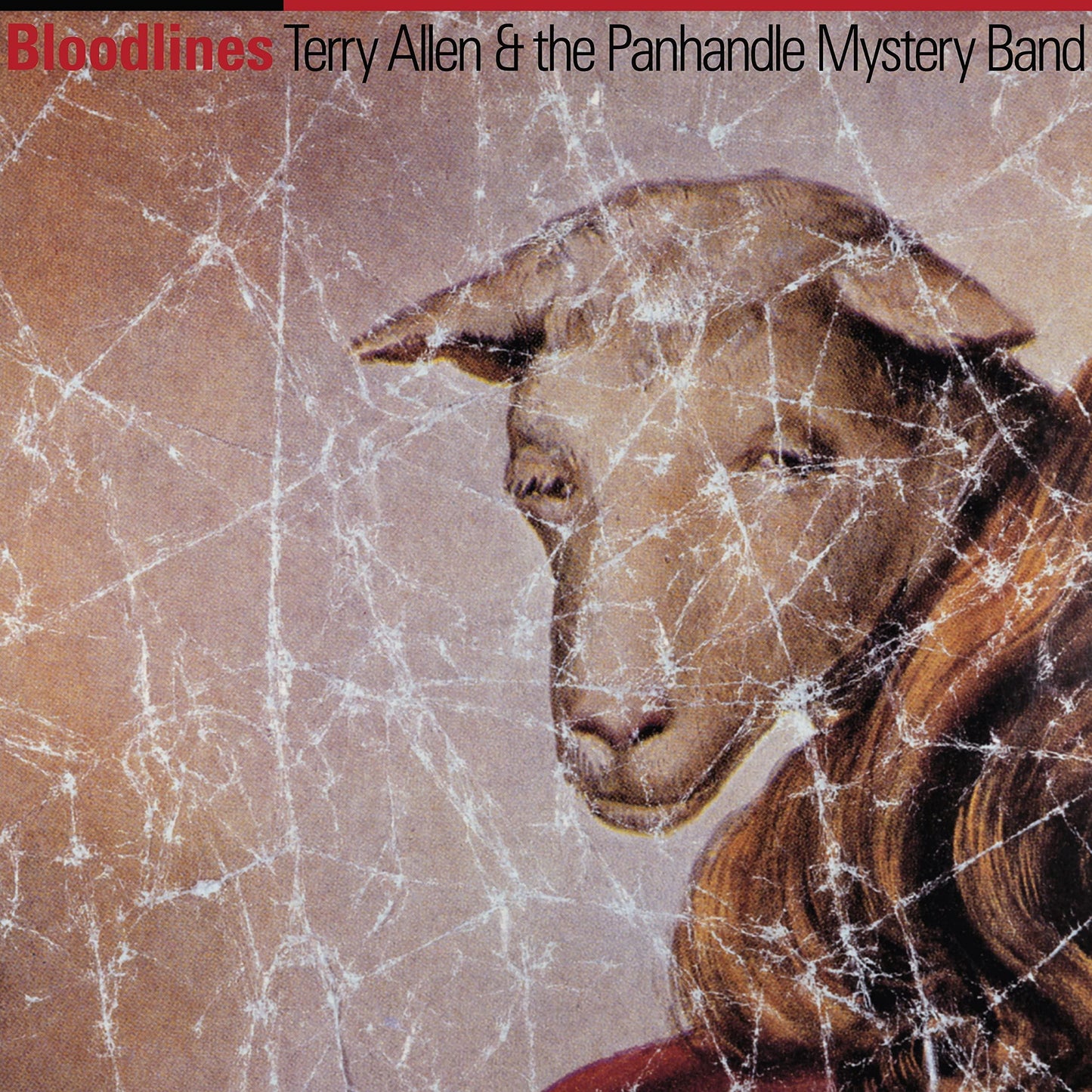 Terry Allen And The Panhandle Mystery Band - Bloodlines - Lp