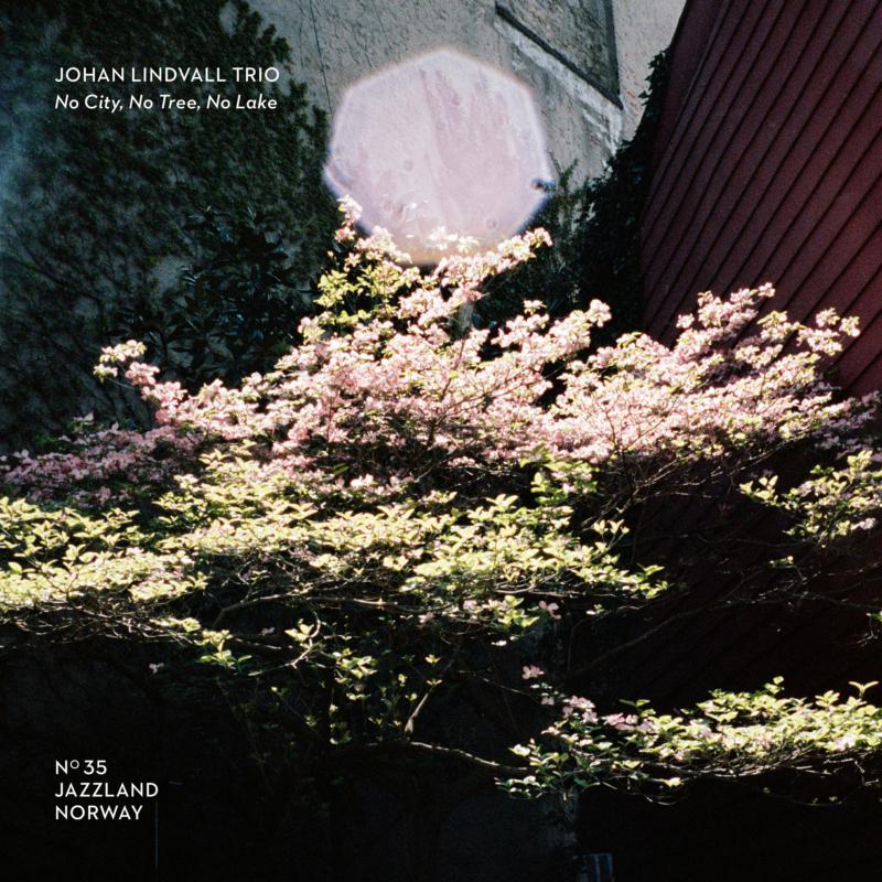 Johan Lindvall Trio - No City, No Tree, No Lake - Cd